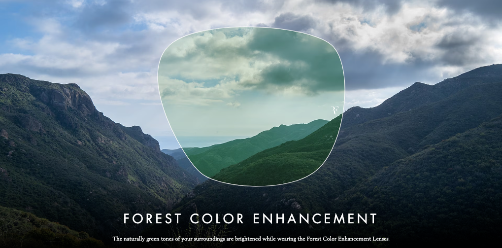 Oliver Peoples Roger Federer R-1 Sunglasses in Semi-Matte Ryegrass-Forest