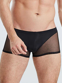Black Translucent Mesh Boxer Brief (Set of 2) 3