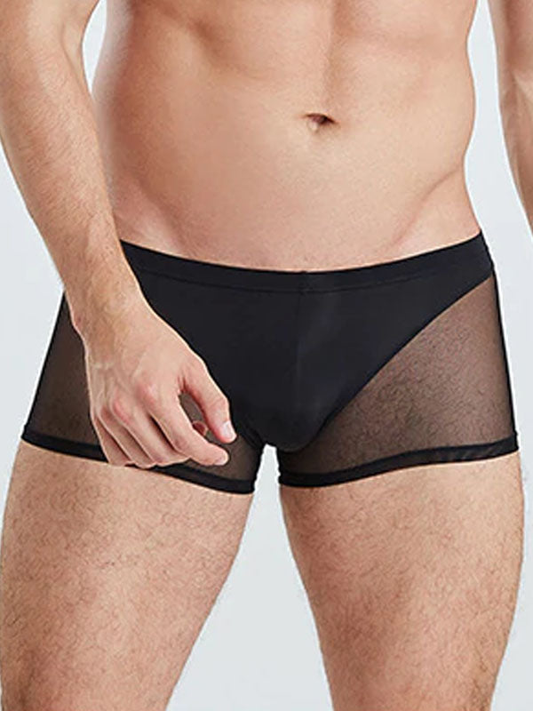 Black Translucent Mesh Boxer Brief (Set of 2) 3