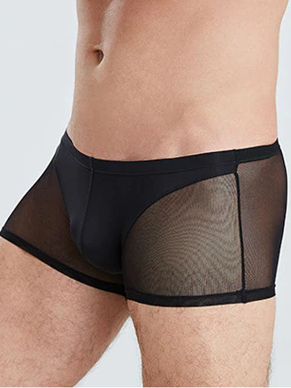 Black Translucent Mesh Boxer Brief (Set of 2) 5