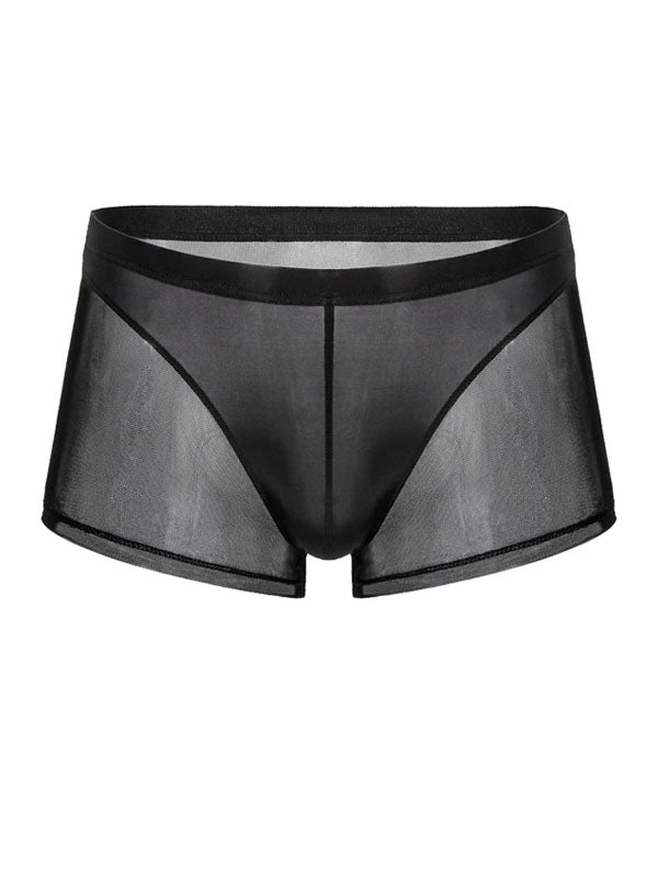 Black Translucent Mesh Boxer Brief (Set of 2)  2
