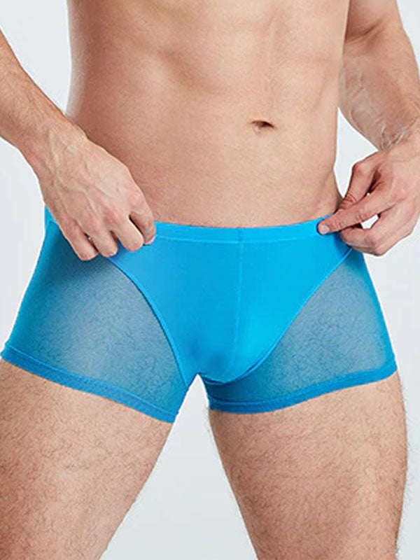 Blue Translucent Mesh Boxer Brief (Set of 2) 4