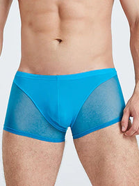 Blue Translucent Mesh Boxer Brief (Set of 2) 3