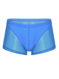 Blue Translucent Mesh Boxer Brief (Set of 2) 2