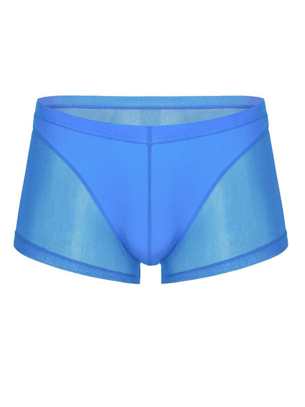 Blue Translucent Mesh Boxer Brief (Set of 2) 2