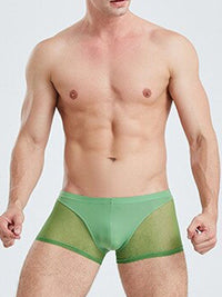 Green Translucent Mesh Boxer Brief (Set of 2) 3