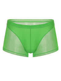 Green Translucent Mesh Boxer Brief (Set of 2)