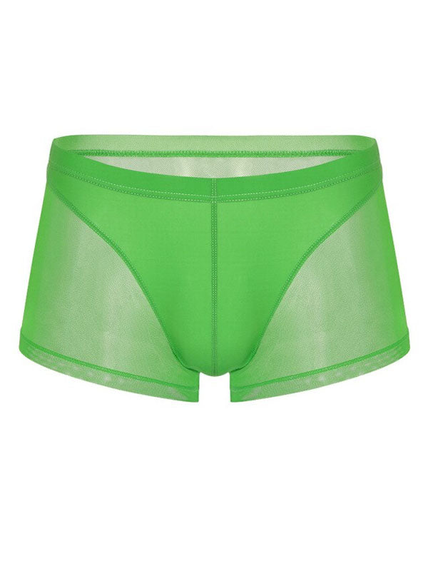 Green Translucent Mesh Boxer Brief (Set of 2)