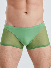 Green Translucent Mesh Boxer Brief (Set of 2) 4