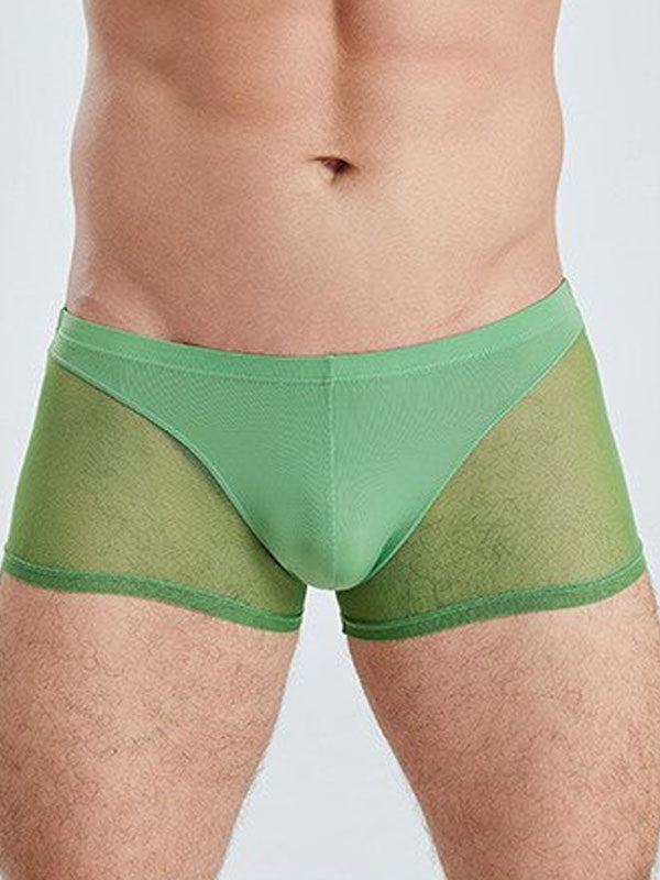 Green Translucent Mesh Boxer Brief (Set of 2) 4