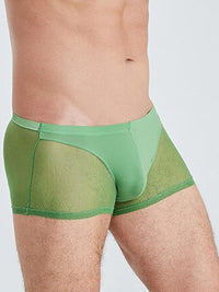 Green Translucent Mesh Boxer Brief (Set of 2) 5