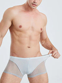 Grey Translucent Mesh Boxer Brief (Set of 2) 5