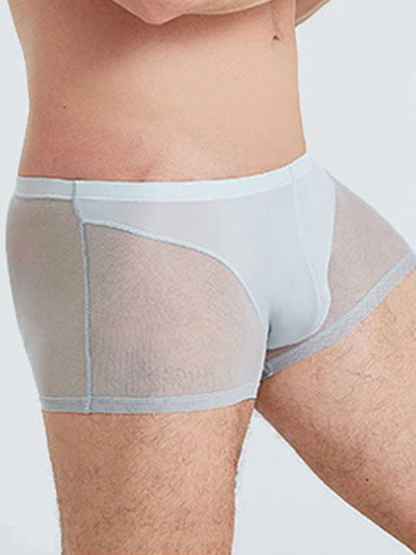 Grey Translucent Mesh Boxer Brief (Set of 2) 6