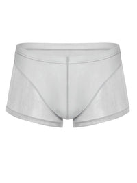 Grey Translucent Mesh Boxer Brief (Set of 2)  2