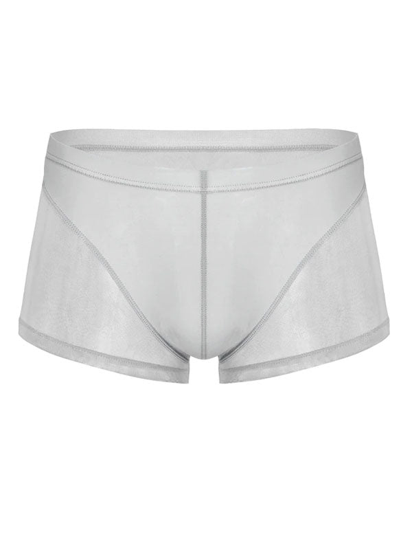 Grey Translucent Mesh Boxer Brief (Set of 2)  2