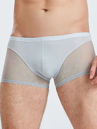 Grey Translucent Mesh Boxer Brief (Set of 2) 4