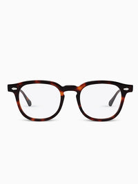 Shoji Eyewear Glory Havanna 2