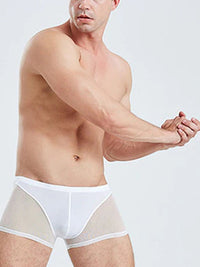 White Translucent Mesh Boxer Brief (Set of 2) 3