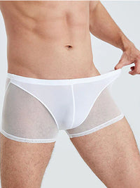 White Translucent Mesh Boxer Brief (Set of 2)  4