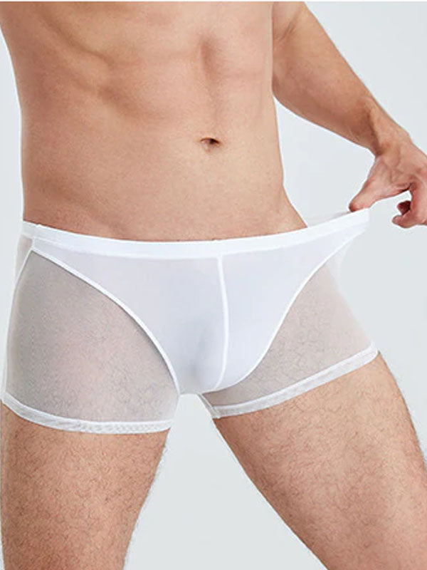 White Translucent Mesh Boxer Brief (Set of 2)  4