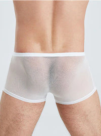 White Translucent Mesh Boxer Brief (Set of 2)  5