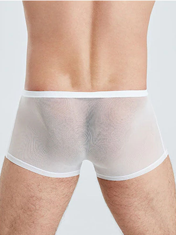 White Translucent Mesh Boxer Brief (Set of 2)  5