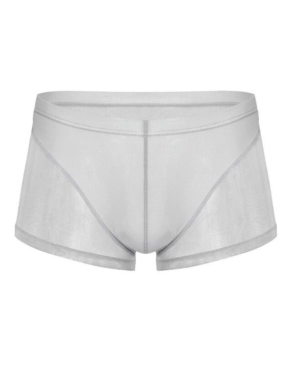 White Translucent Mesh Boxer Brief (Set of 2)  2