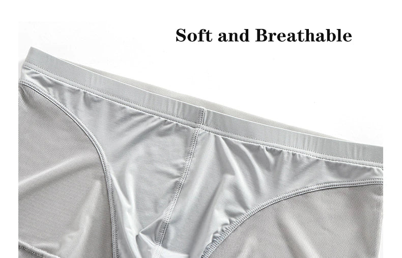 White Translucent Mesh Boxer Brief (Set of 2)