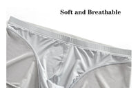 Green Translucent Mesh Boxer Brief (Set of 2)