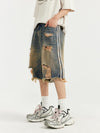 Distressed Denim Shorts with Side Stripes 13