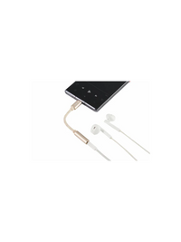 Travelmall Eco-friendly USB-C To 3.5mm Audio Adaptor