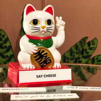 Rude Fortune Cat Figurine with Movable Arms