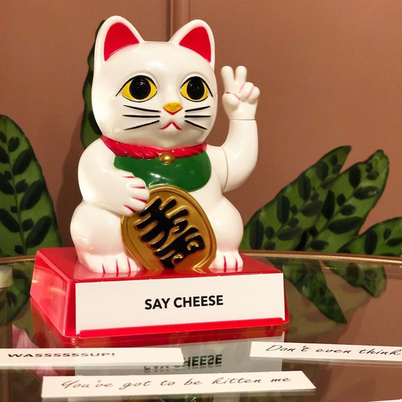Rude Fortune Cat Figurine with Movable Arms