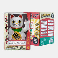 Rude Fortune Cat Figurine with Movable Arms