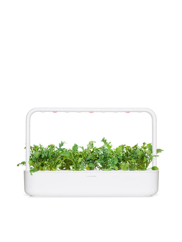 Click And Grow Arugula Plant Pods 3-Pack 4