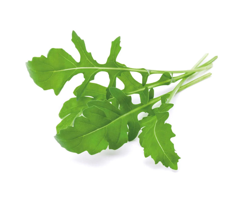 Click And Grow Arugula Plant Pods 3-Pack 5
