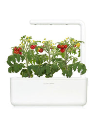 Click And Grow Mini Tomato Plant Pods 3-Pack 2
