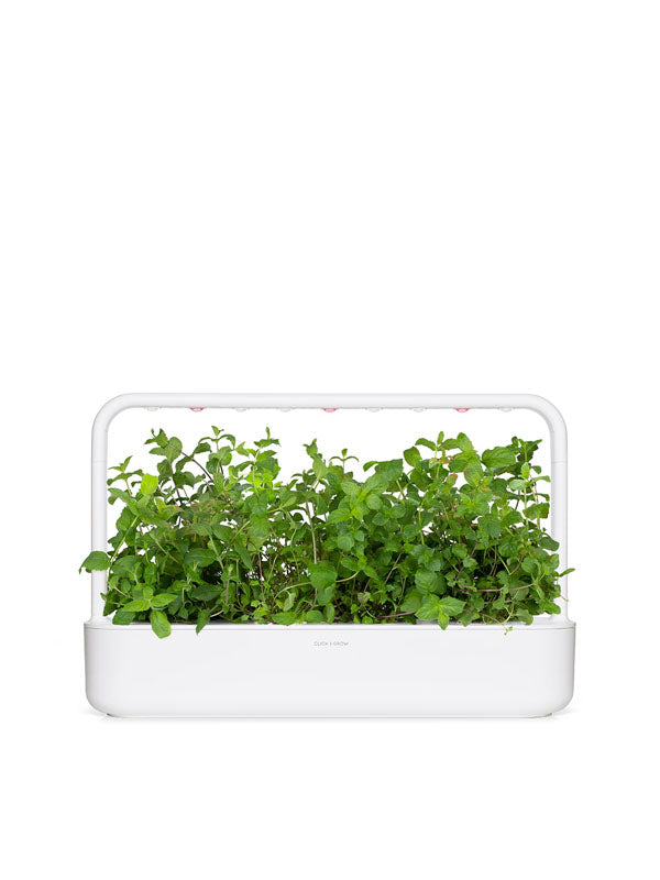Click And Grow Peppermint Plant Pods 3-Pack 4