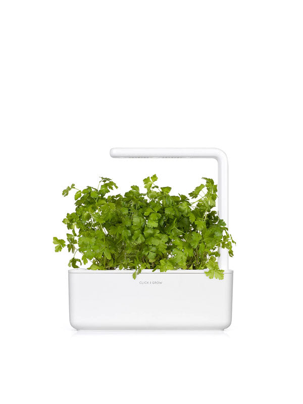 Click And Grow Plain Parsley Plant Pods 3 Pack