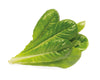 Click And Grow Romaine Lettuce Plant Pods 3-Pack 5