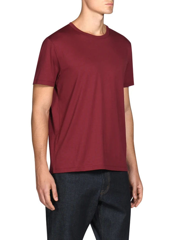 Determinant Super Soft T-Shirt in Burgundy Color 3