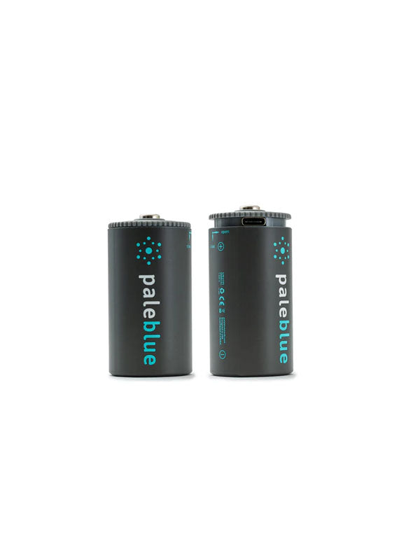paleblue 2 Pack D-Cell USB Rechargeable Smart Batteries
